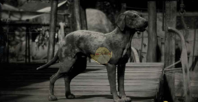 1573005241435693.png 2.png