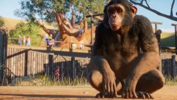 动物园之星 动物园之星