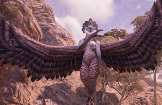 神佑释放 神佑释放