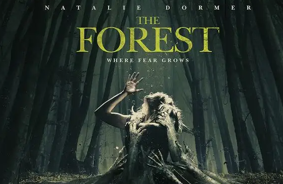 The Forest