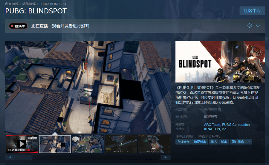 PUBG: BLINDSPOT steam商店页面